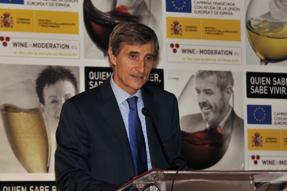 Javier Pags, Presidente de la FEV