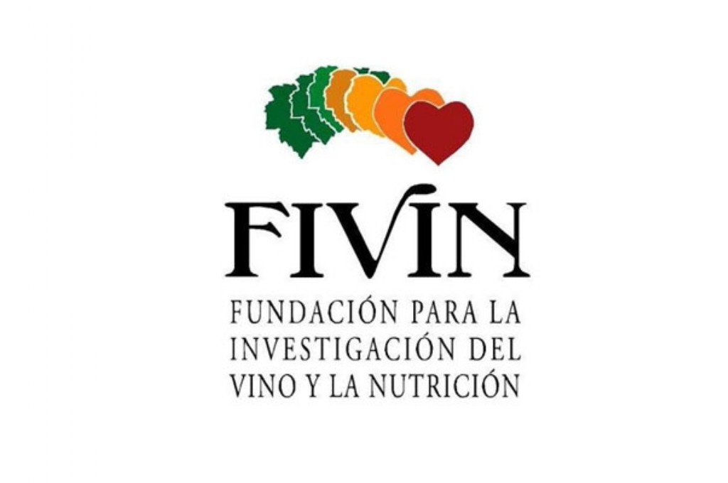 Logo FIVIN