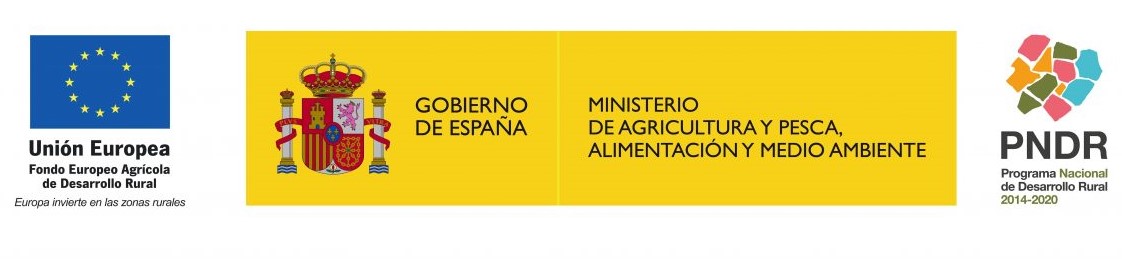 Gobierno de Espaa