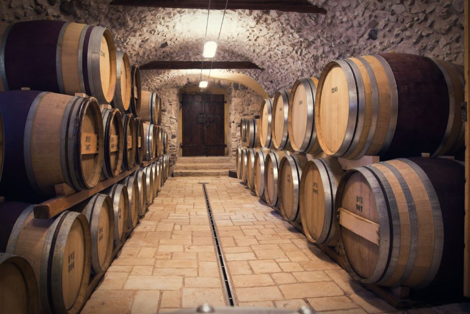 bodegas