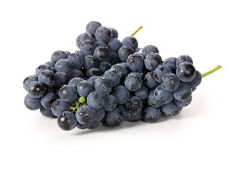 Vino