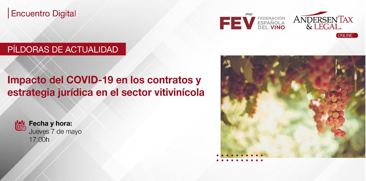 webinar Andersen