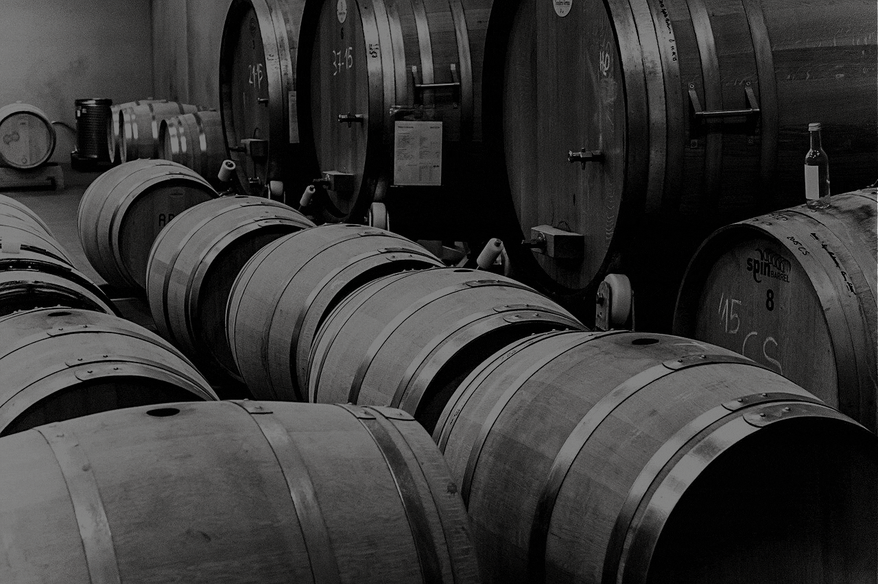 bodegas