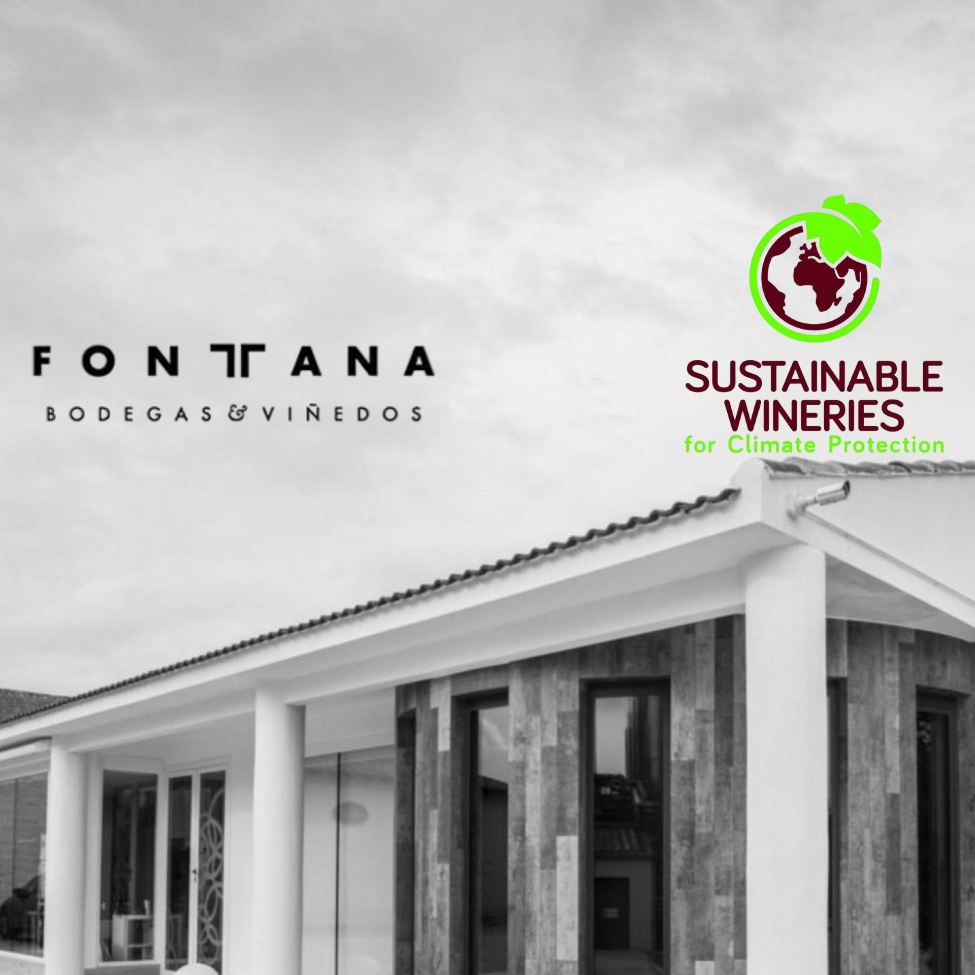 Fontana Bodegas y Vi�edos