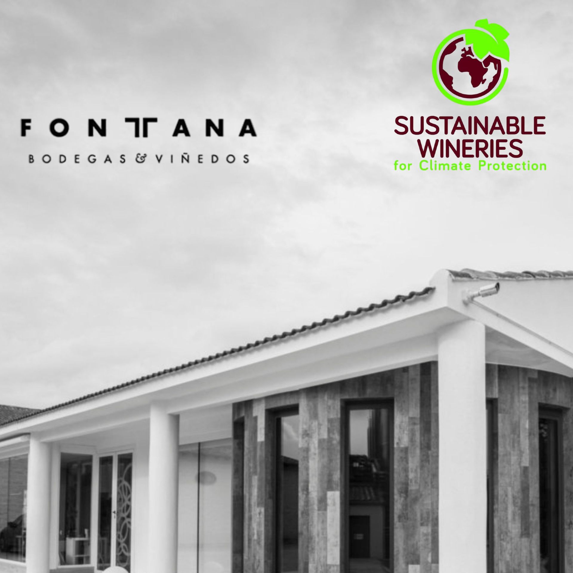 Fontana Bodegas y Viedos