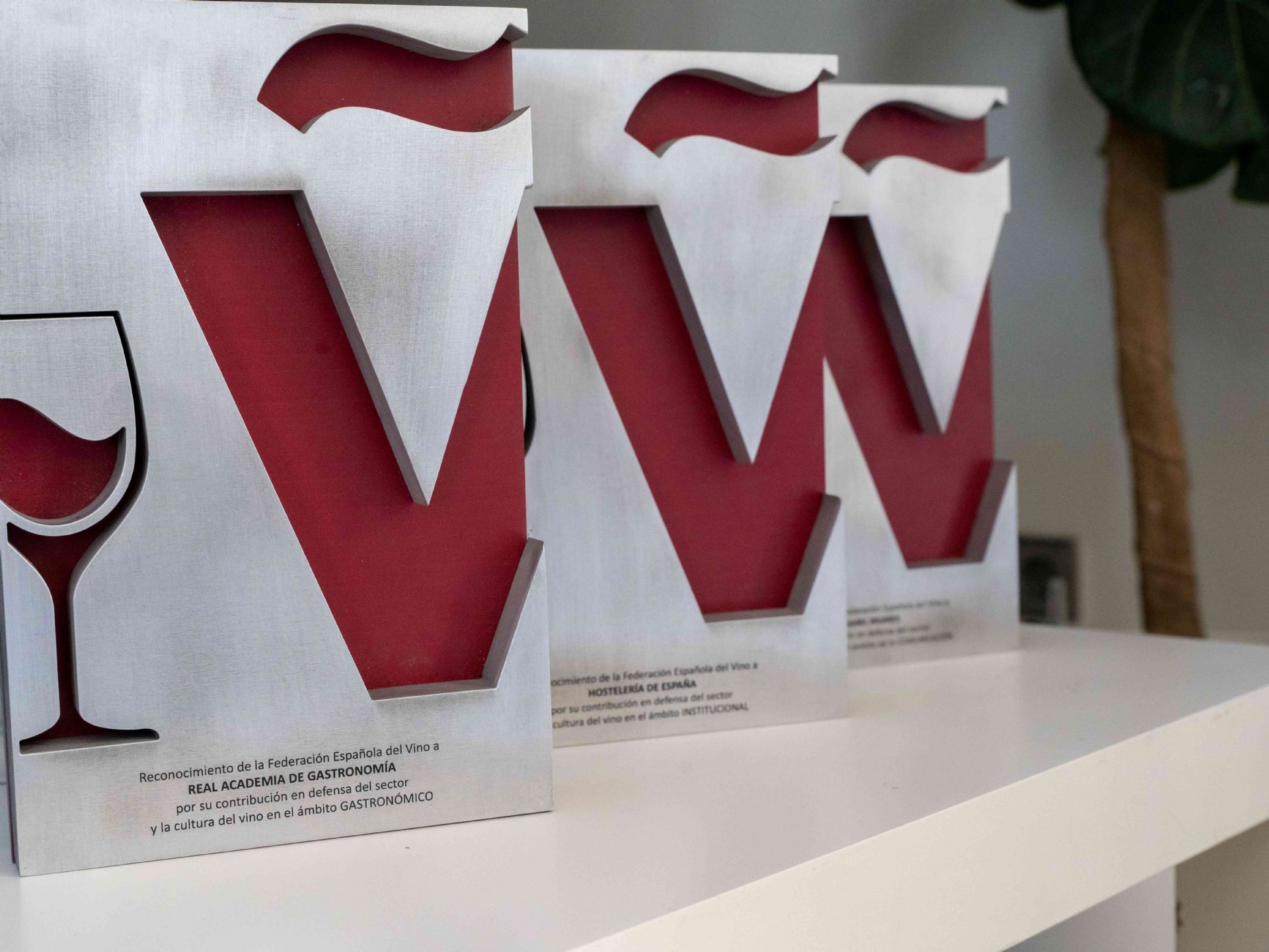 Premios FEV