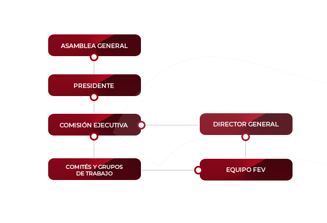 organigrama fev