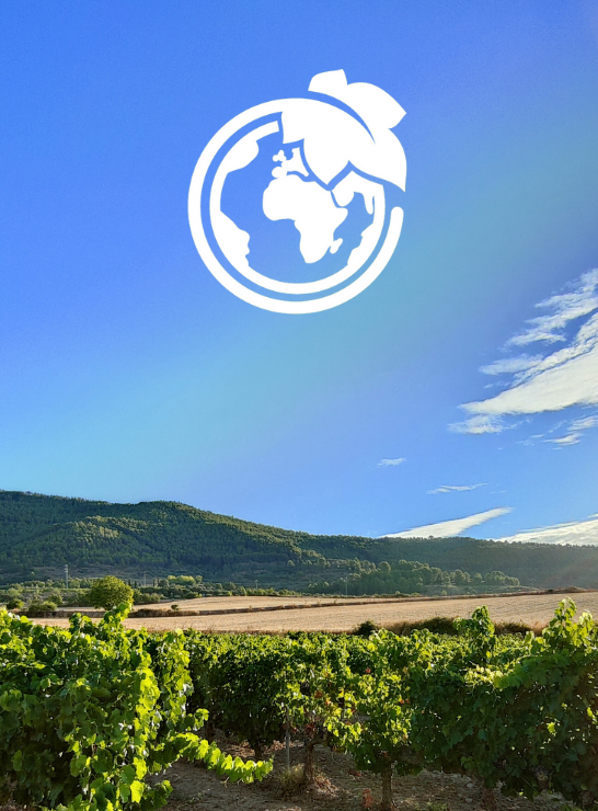 Sustainable Wineries for Climate Protection