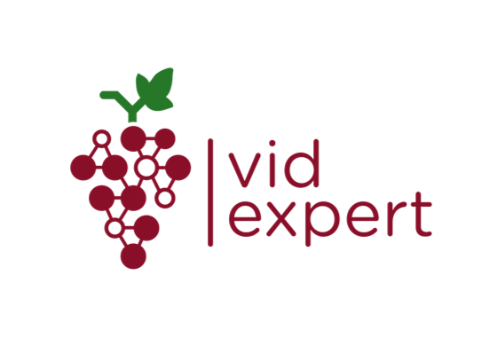 Vid-expert