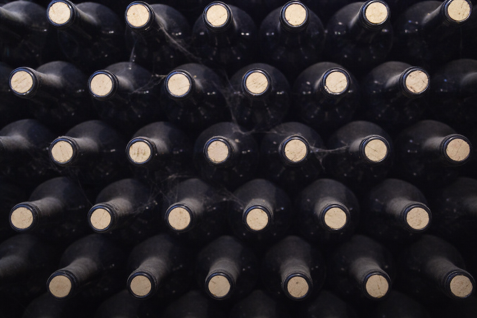 Informaci�n sectorial - FEV