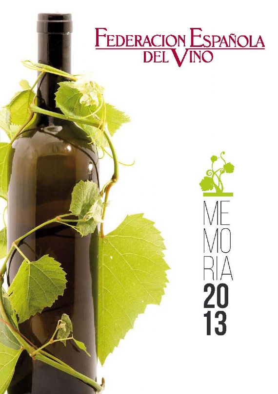 memoria actividades fev 2013