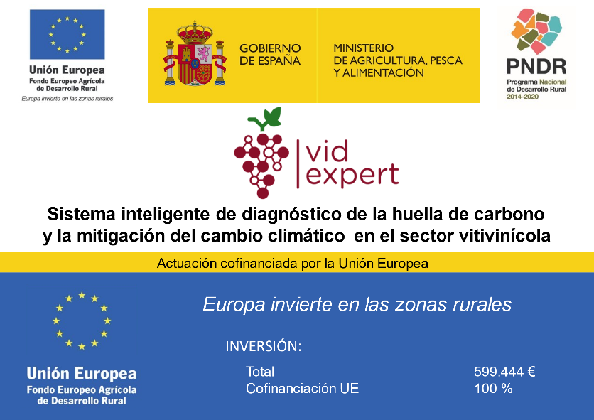 PROYECTO VIDEXPERT 2
