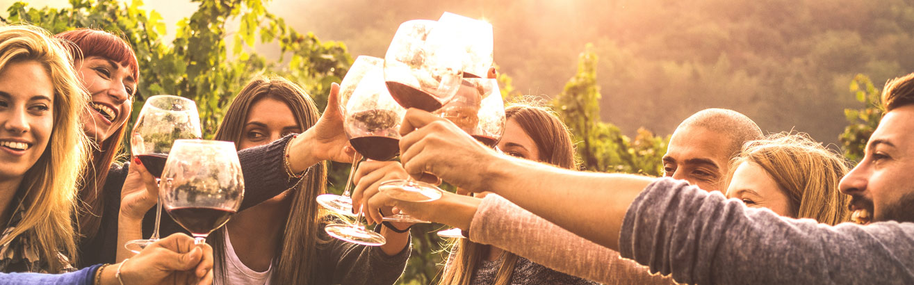 Proyecto Wine in moderation | WIM