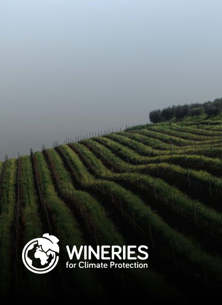 Wineries for climate protection